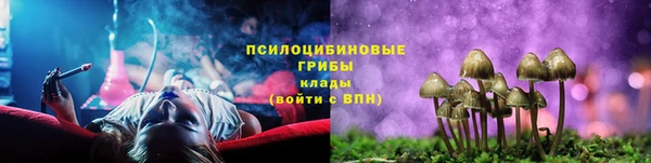 spice Инсар