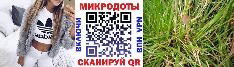 Галлюциногенные грибы ЛСД  Купить где  Дмитров 